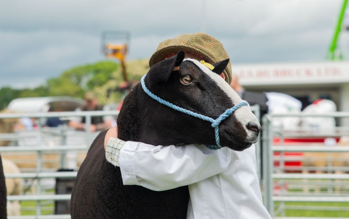 A child at the Northumberland County Show hugging a goat