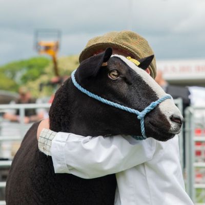 A child at the Northumberland County Show hugging a goat