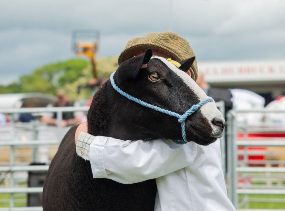 Save £5 on Northumberland County Show tickets