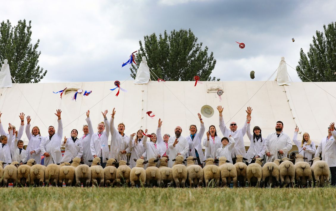 A long line of cheering farmers exhibiting their sheep at the Royal Bath and West Show