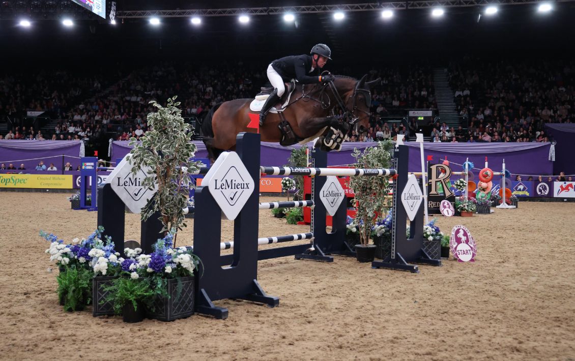 Horse of the Year showjumper