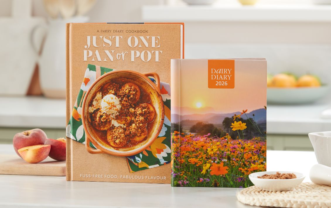 Bundle of goodies from Dairy Diary including a book, stickers and planners