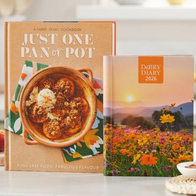 Bundle of goodies from Dairy Diary including a book, stickers and planners