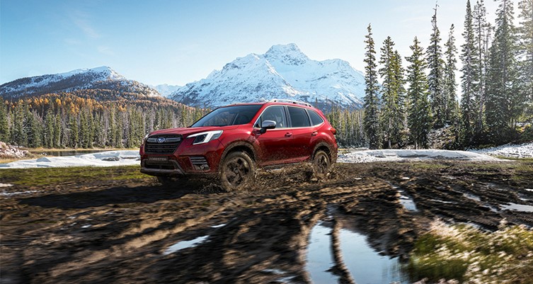 An image of a red Subaru Forester in a forest scene