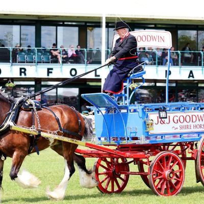 Horse and cart being driven in the arena at the South of England Show 