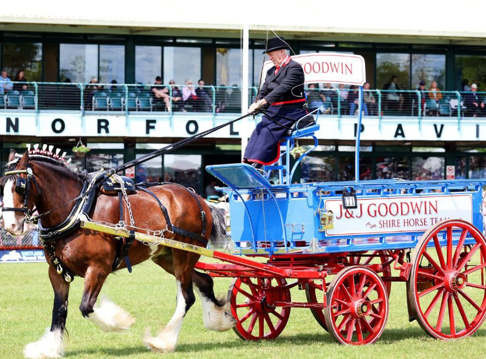 Six family show tickets to give away 