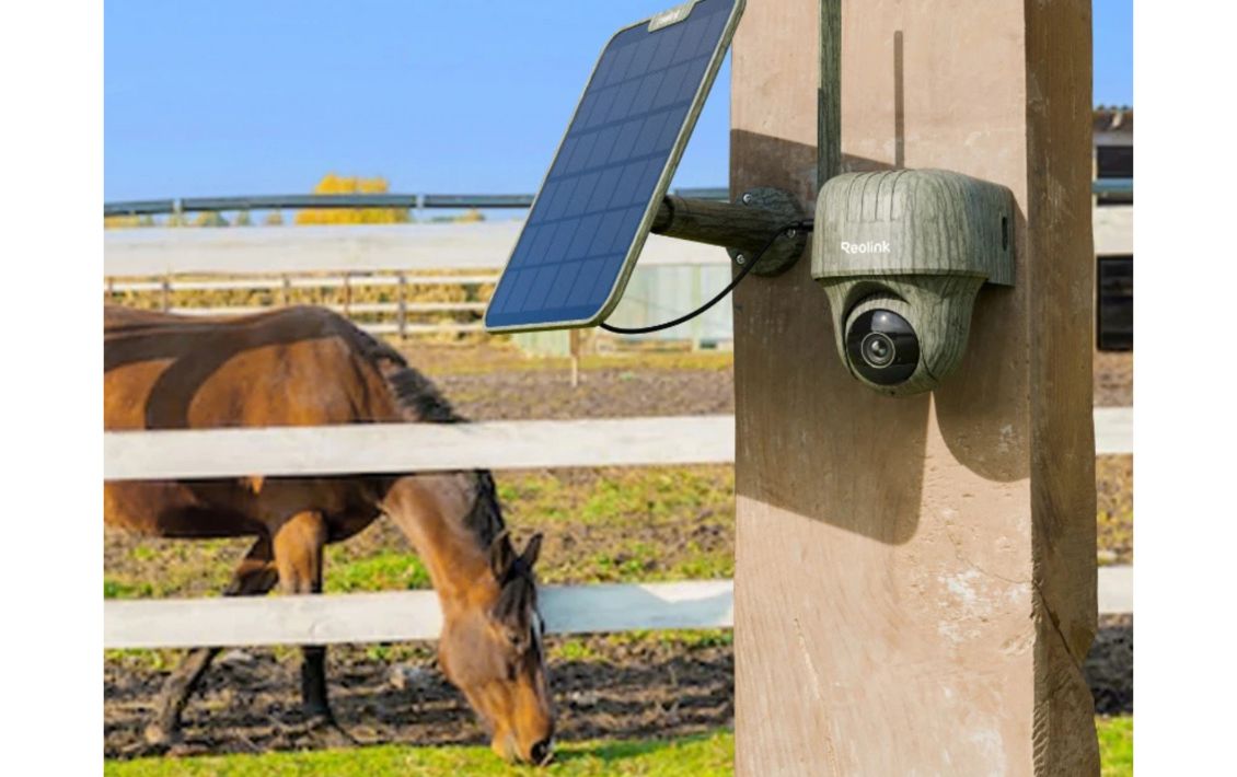 A Reolink security camera recording a horse in a paddock