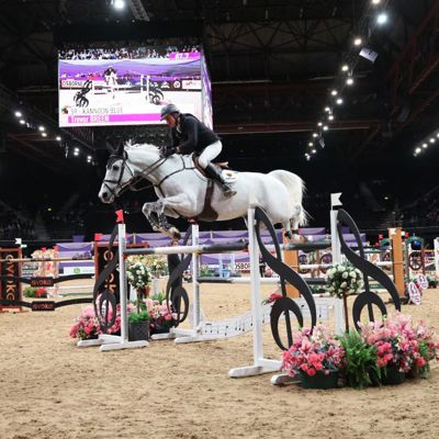 Competitor show jumping at the Horse of the Year Show