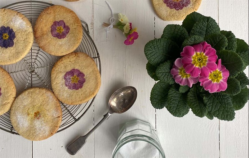 An image of the pretty pressed flower biscuits, displayed on a metal rack and next to a pot of flowers. 