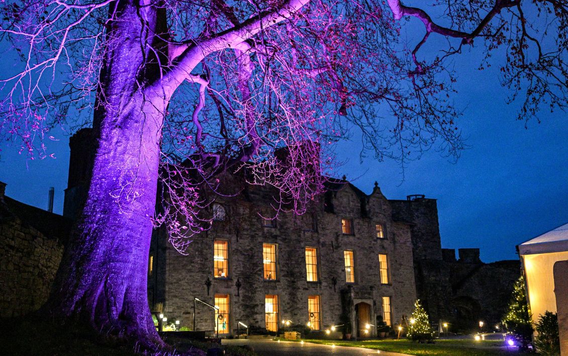 A large country house in the dark with all of the lights on and a large illuminated tree to the side of it.
