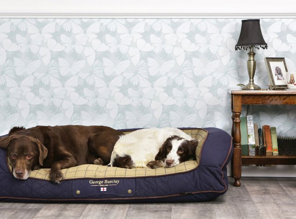 Win a George Barclay luxury dog bed, worth £114.99