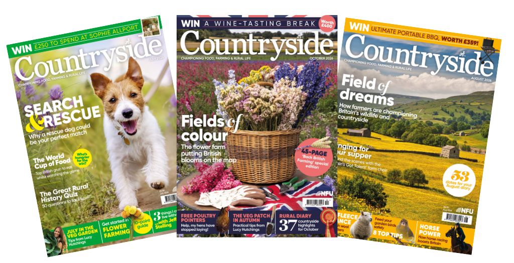 A spead of three Countryside magazine front covers 