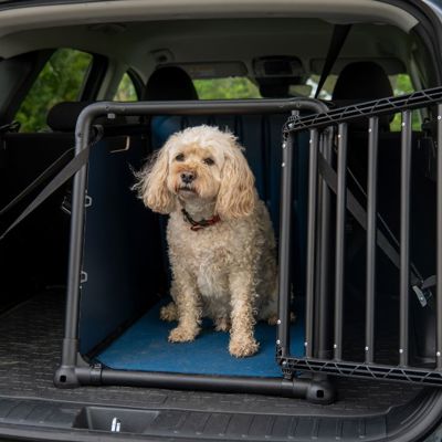 A cream coloured dog in a travel crate in the back of a car