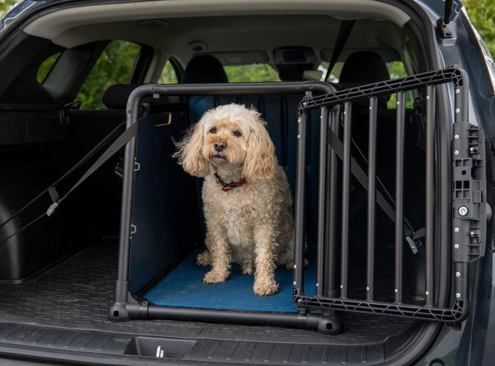 Win a Travall dog crate