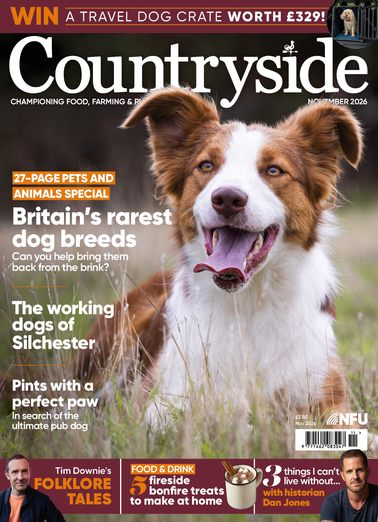 Countryside cover nov 26